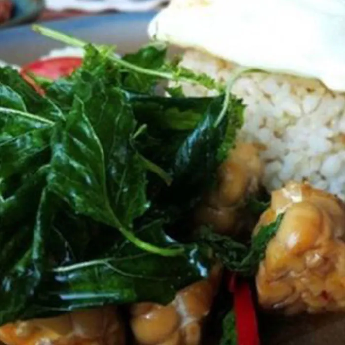 ข้าวกะเพรา Tempeh